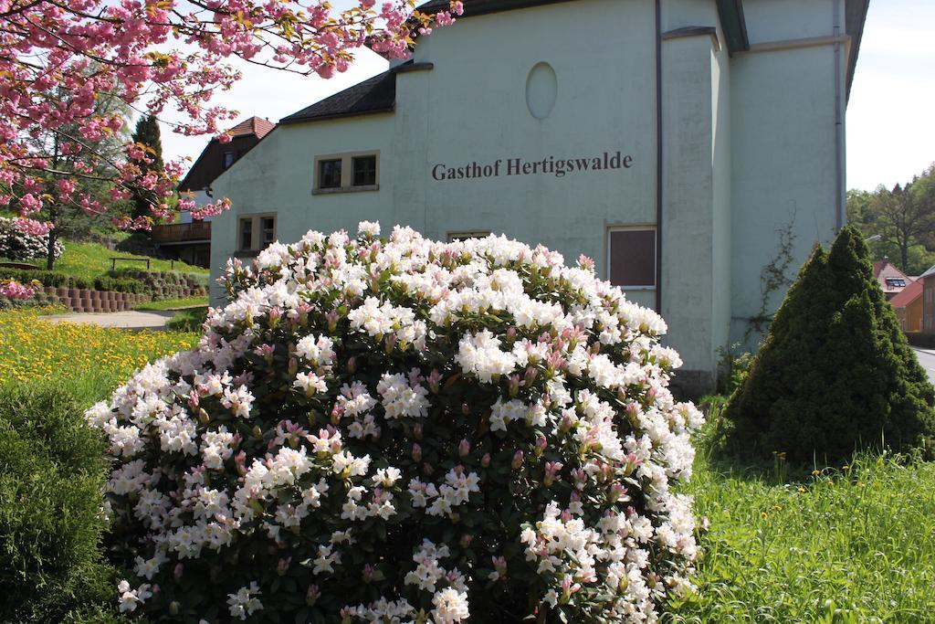 Gasthof Hertigswalde Sebnitz Exterior photo